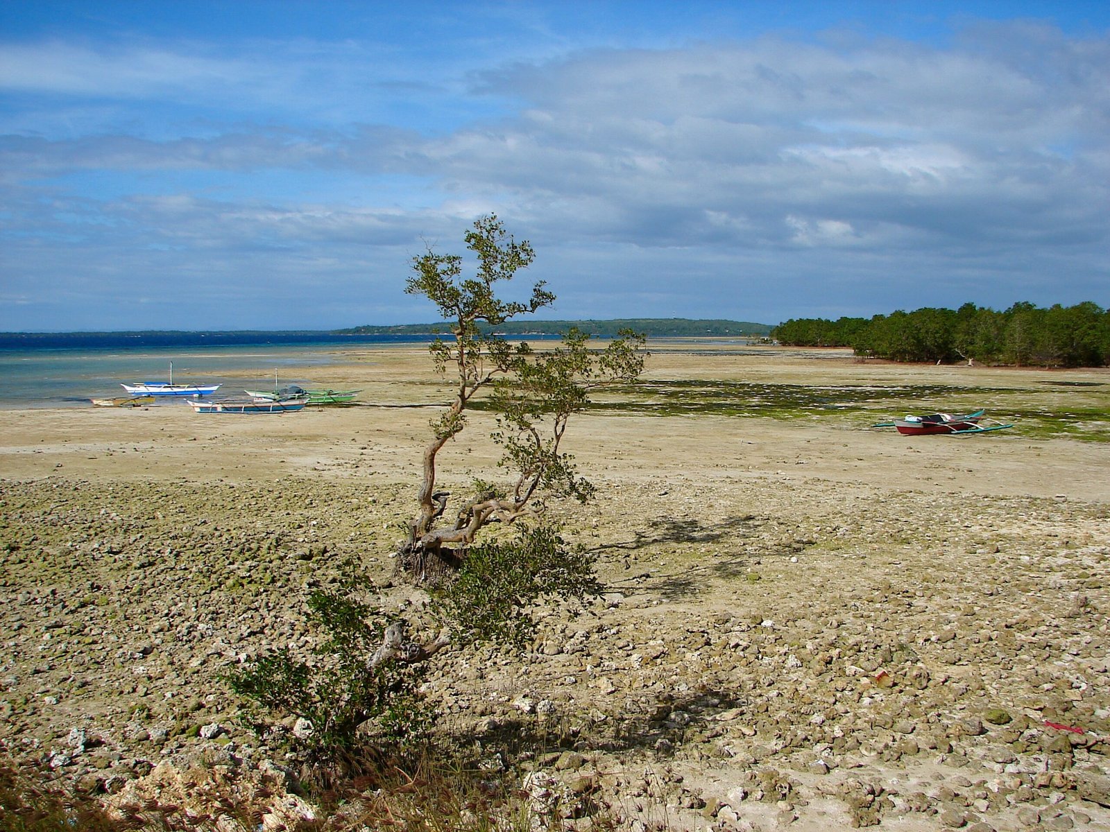The Earthquakes That Shaped Christchurch: Tectonic History Beneath the Garden City