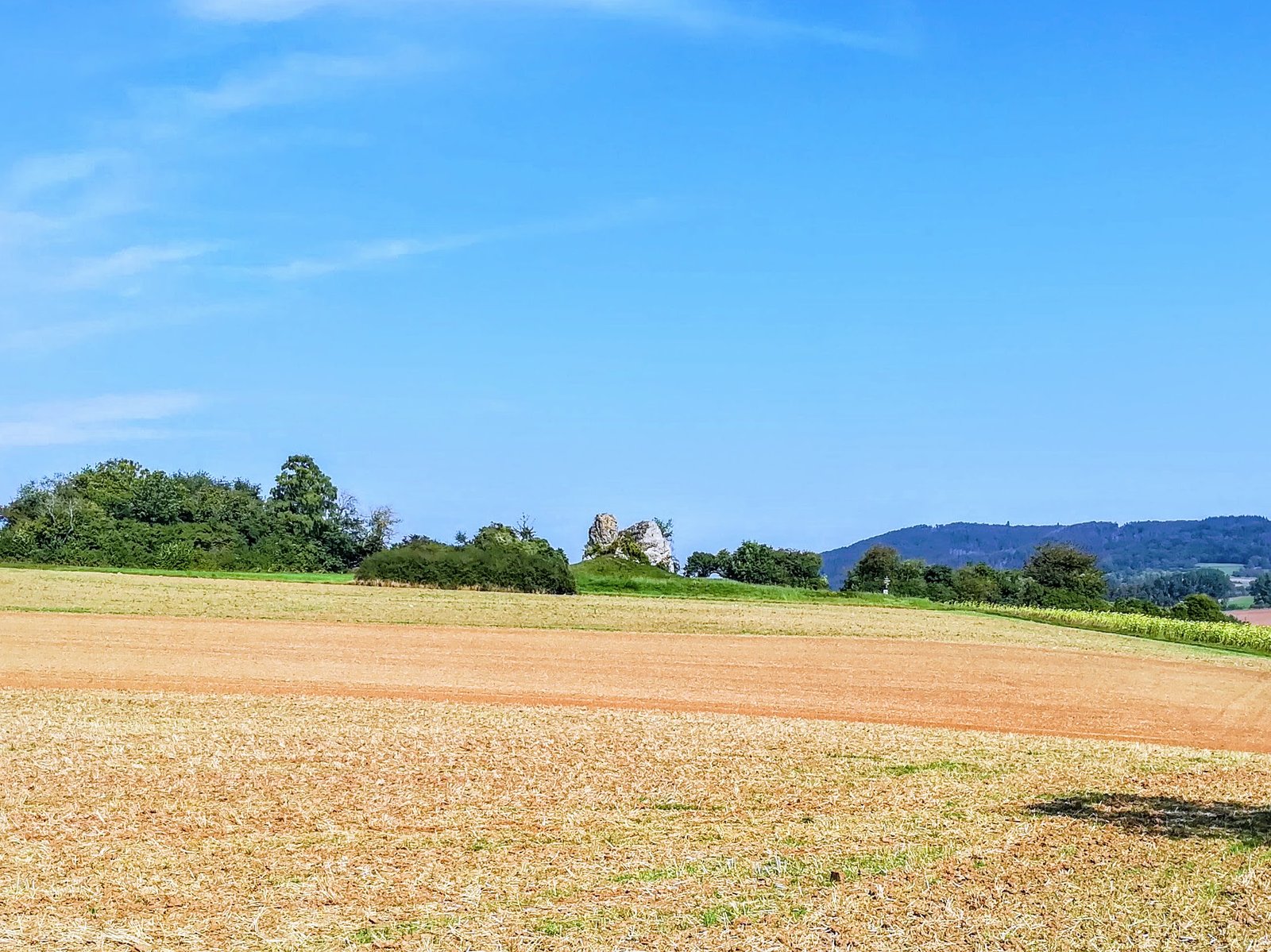 The Shallow Sea: A Prehistoric Paradise (image credits: wikimedia)