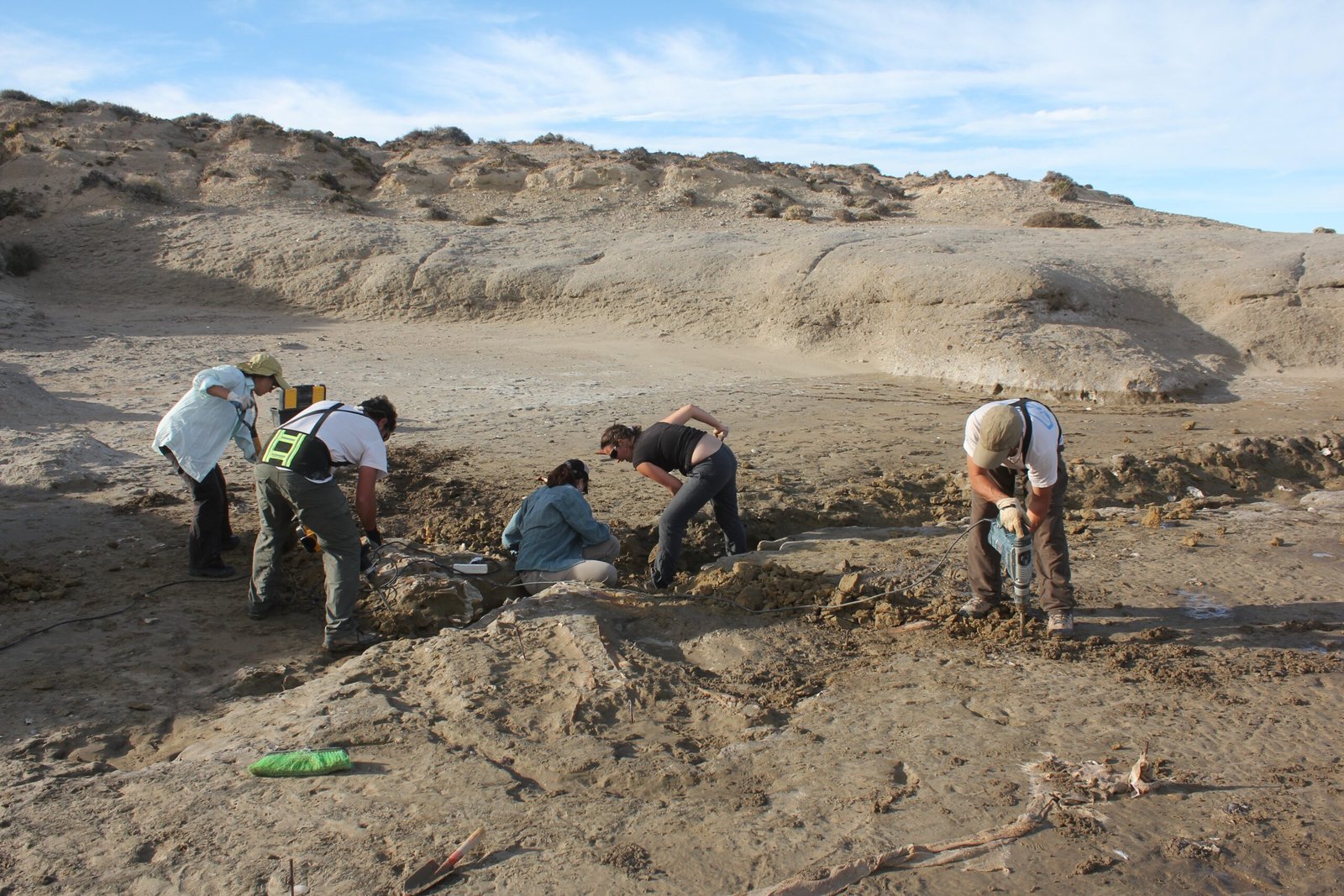 Modern Scientific Expeditions (image credits: wikimedia)