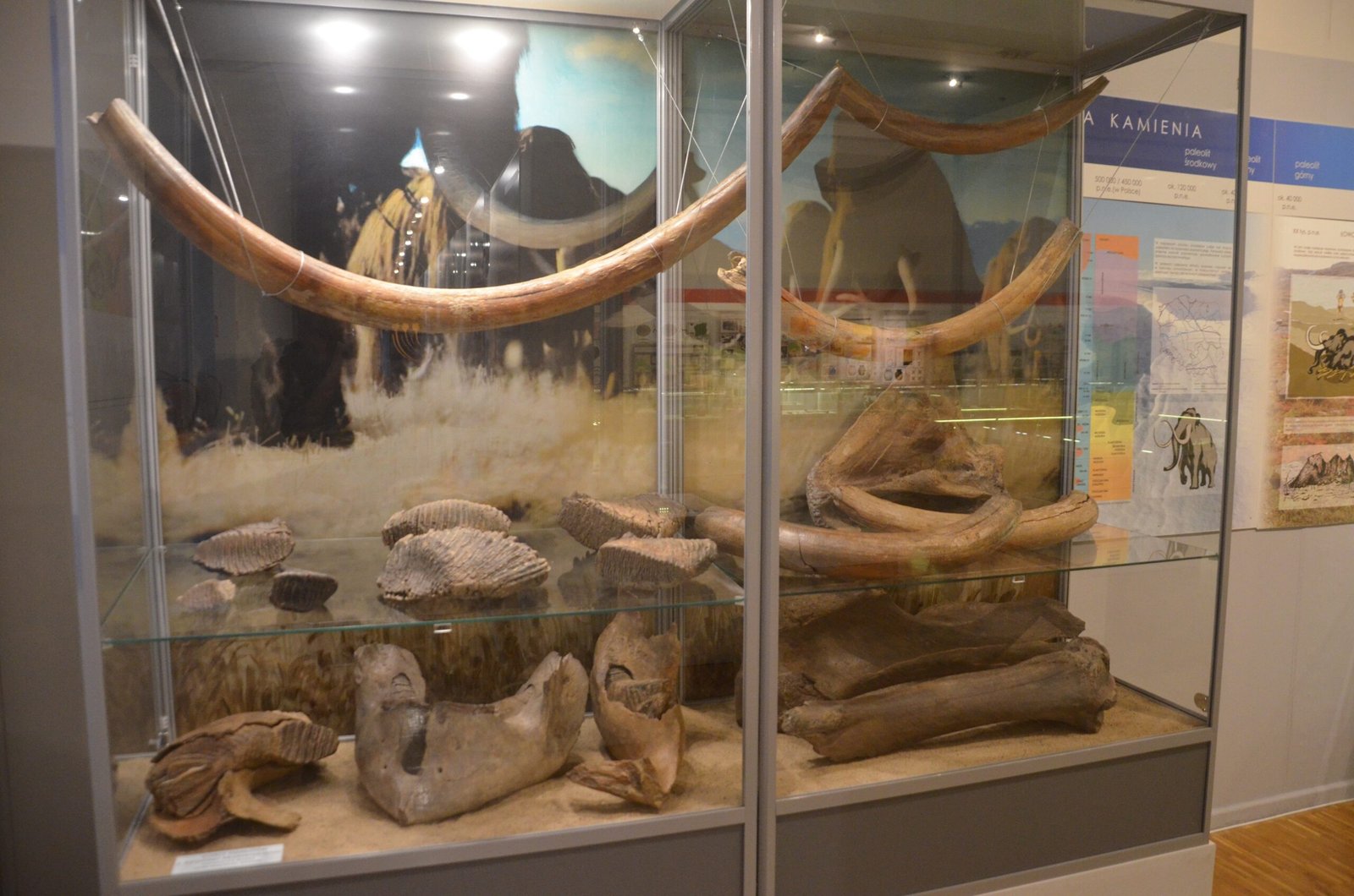 Local Legends and Cultural Impact (image credits: wikimedia)