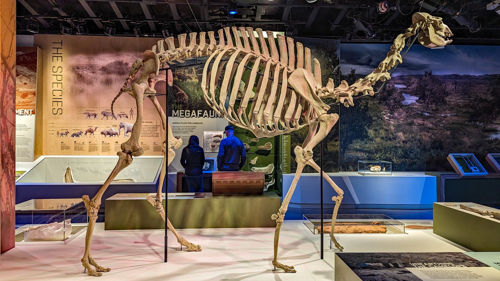 What If Mammoth Bones Are Really Found? (image credits: wikimedia)