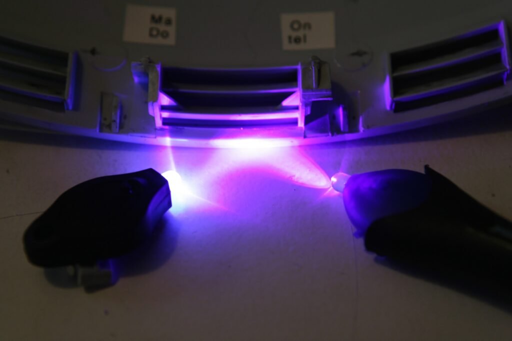 Scientists Discovered a New Color in Nature — And It’s Only Visible in UV