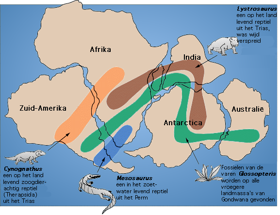 The Birth of a Supercontinent: What Was Gondwana? (image credits: wikimedia)