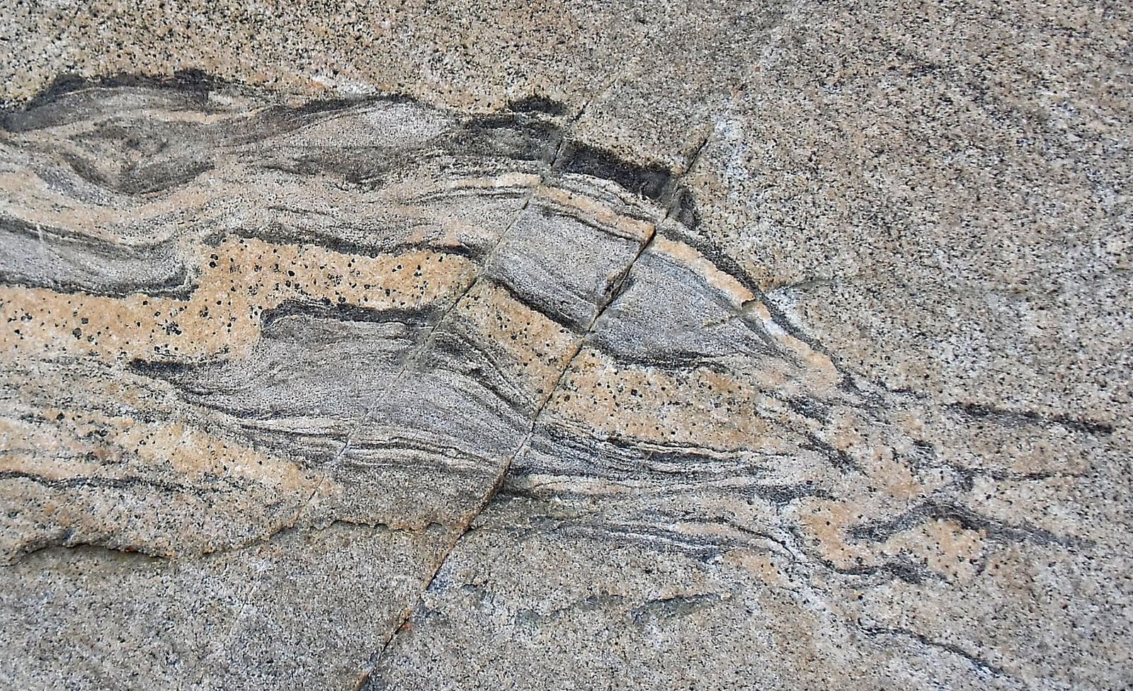 Perth’s Hidden Time Capsules: Rocks Beneath the City (image credits: wikimedia)