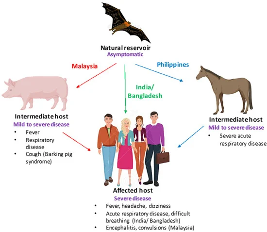 What Is Zoonotic Spillover? (image credits: wikimedia)