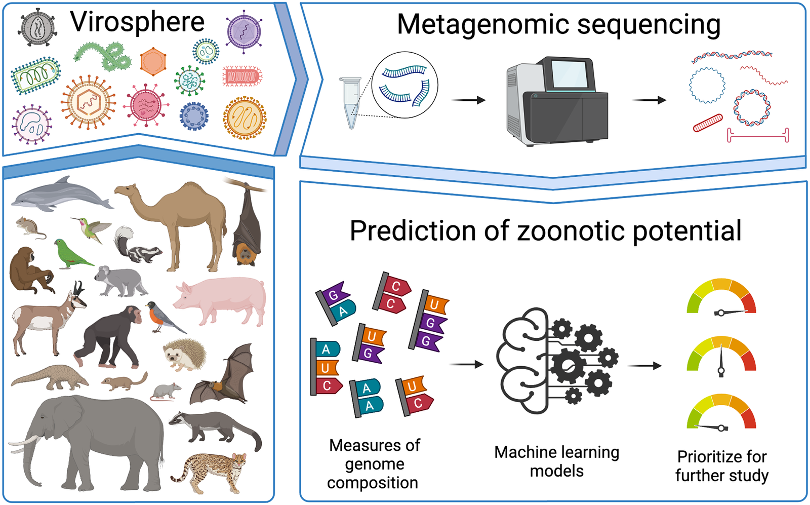 Famous Examples of Zoonotic Spillovers (image credits: wikimedia)