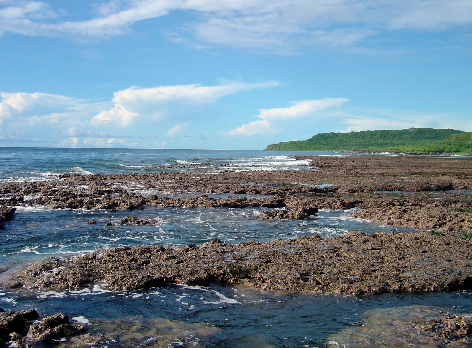 The Living Fortress: How Reefs Protect Islands (image credits: wikimedia)