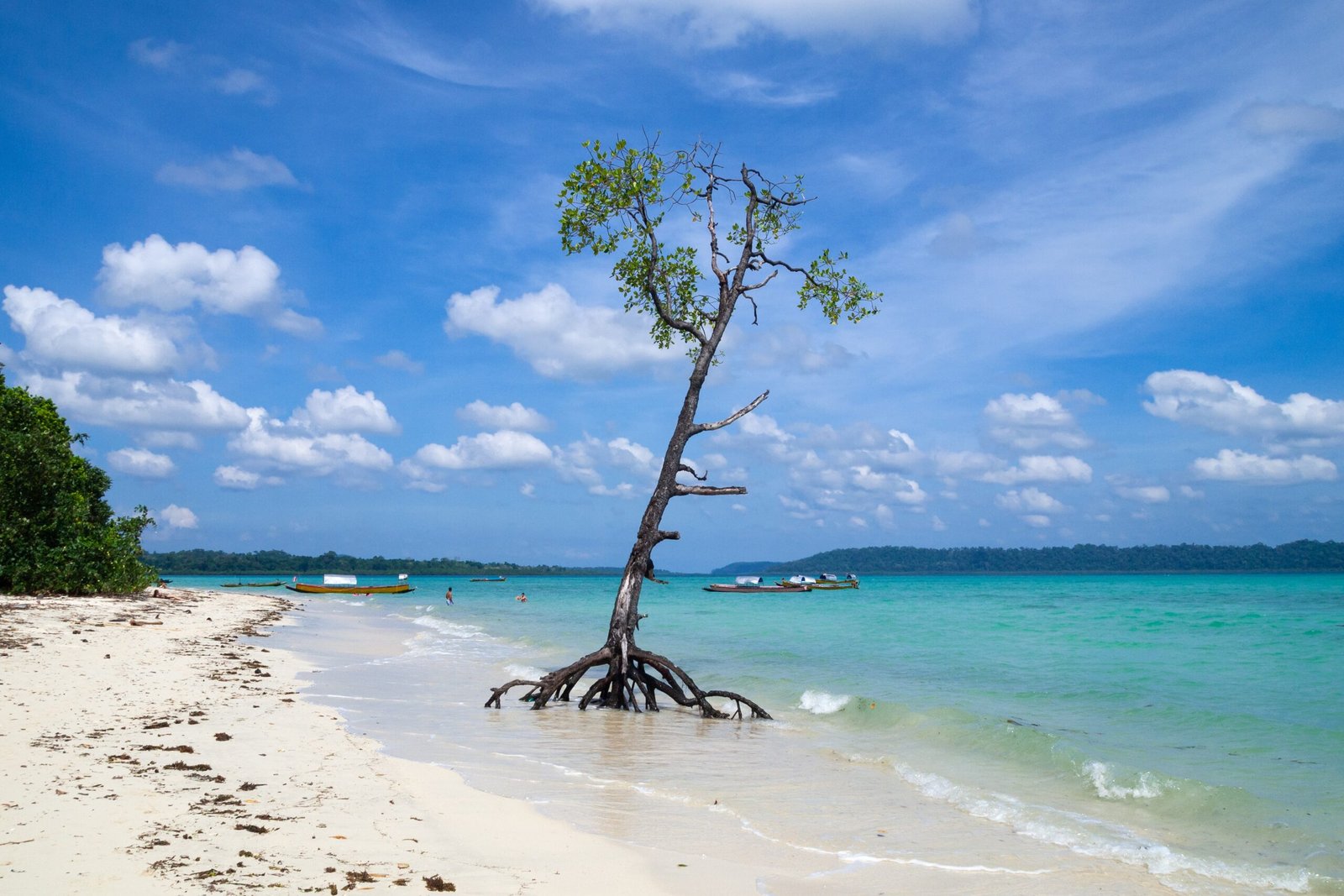 Sea Level Rise: A Double Blow (image credits: wikimedia)