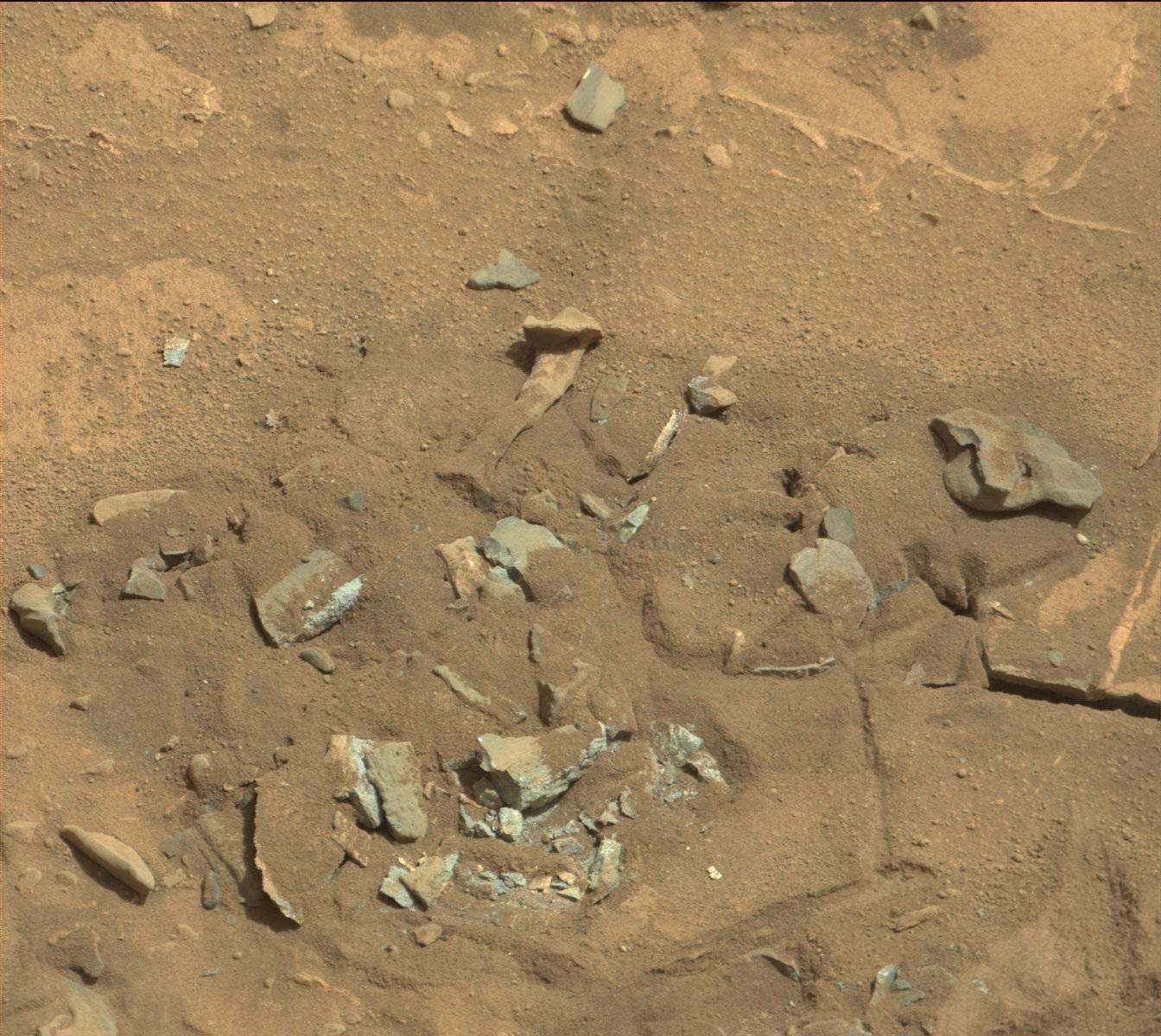 How Microbes Might Survive on Mars (image credits: wikimedia)