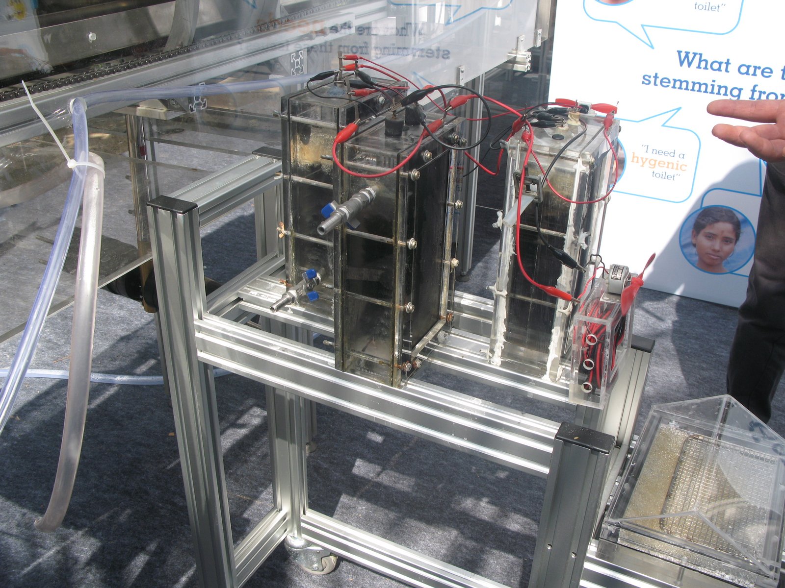 Electricity-Producing Microbes: Nature's Tiny Generators (image credits: wikimedia)