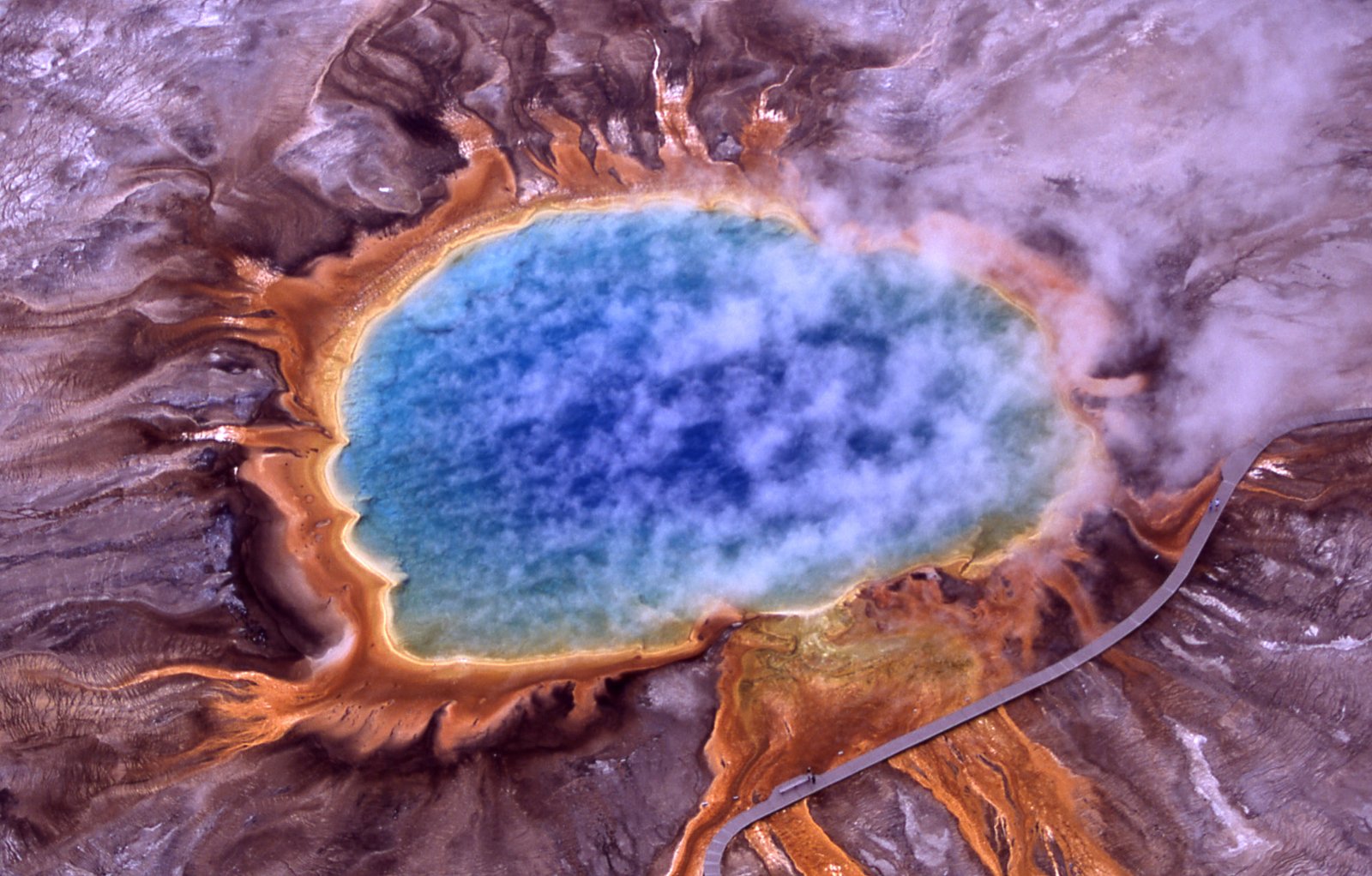 Human Health and the Hidden Microbial World (image credits: wikimedia)