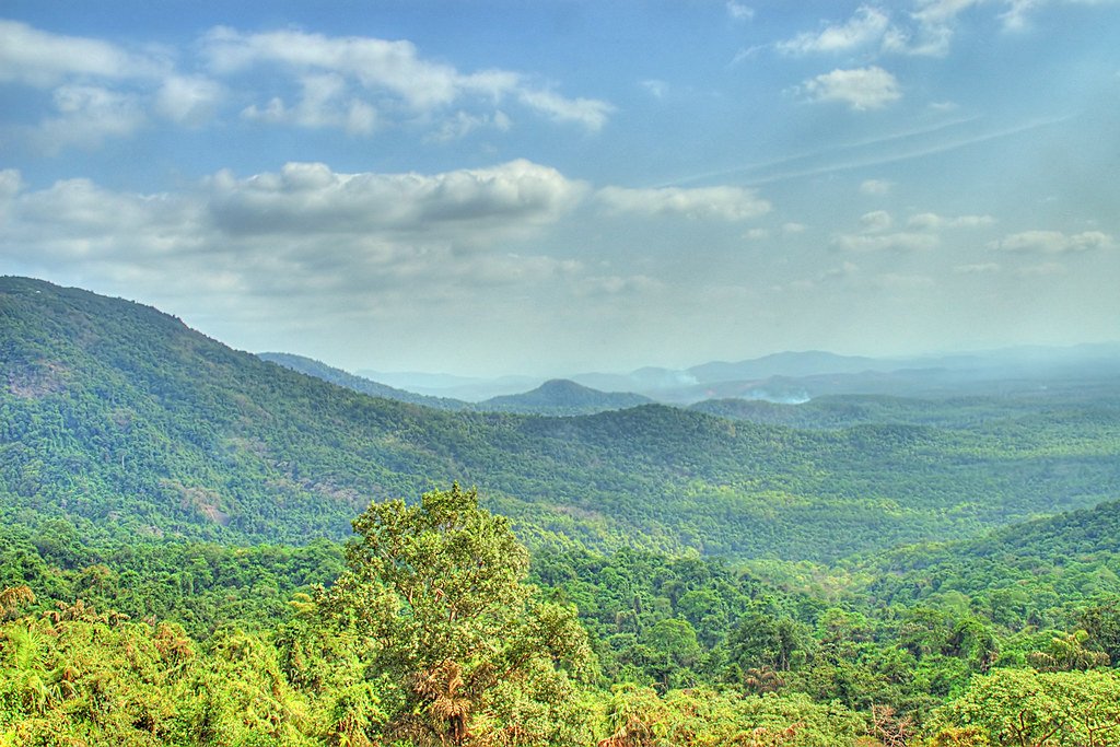 How the Western Ghats Became a Global Biodiversity Hotspot — And What’s at Risk