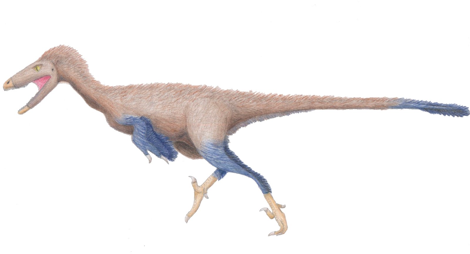 Alaska’s Dinosaurs May Have Been Fluffy, Freezing, and Surprisingly Cute