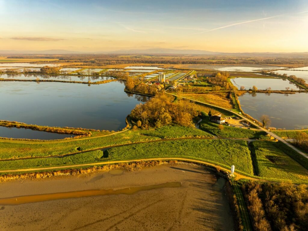 Aerial photo of wetlands near Garešnica, Croatia during golden hour.