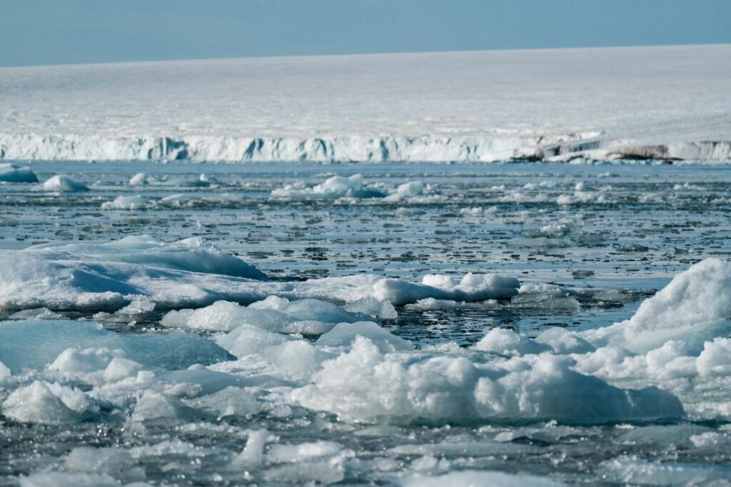 A panoramic view of icebergs floating on Arctic waters during summer, showcasing nature's icy beauty.
