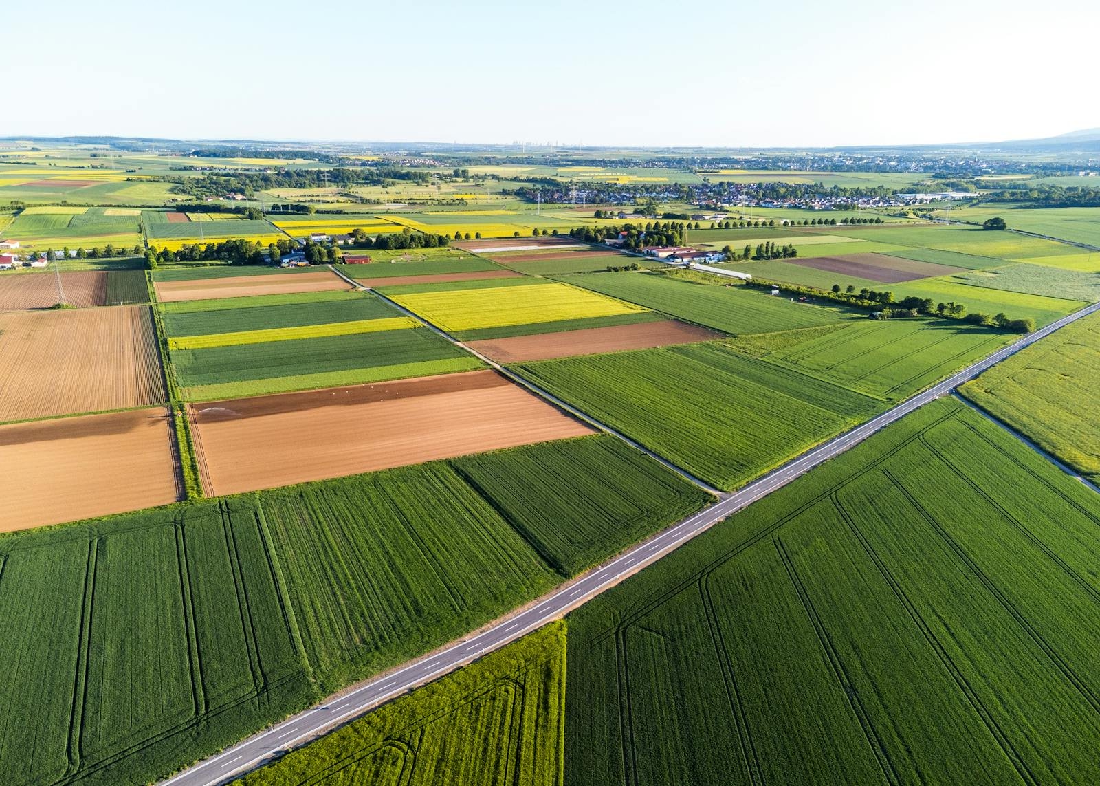 Are Some Crops Worse for Wildlife? New Research Has the Answer