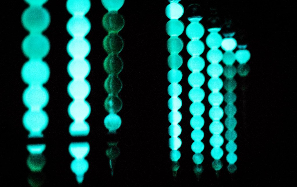 Biolumination.