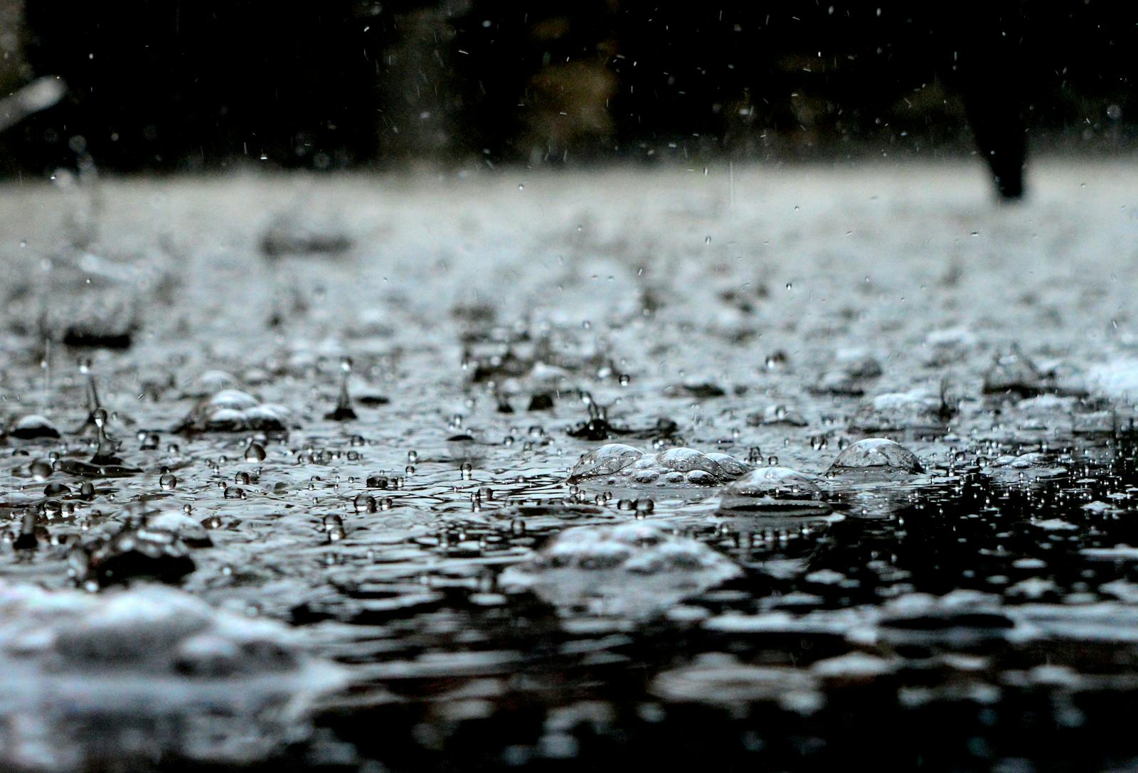 The Hidden Drivers of Snowstorms and Floods? Tiny Lifeforms in the Air
