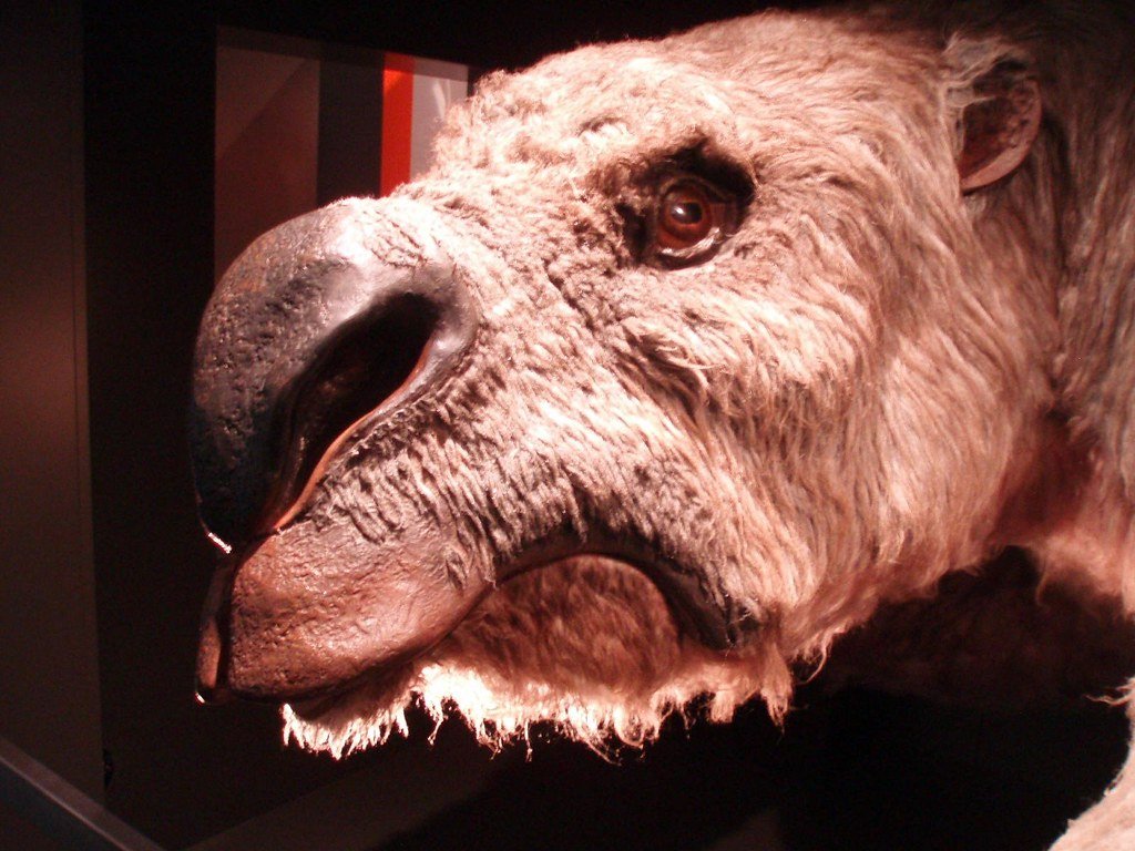 Diprotodon