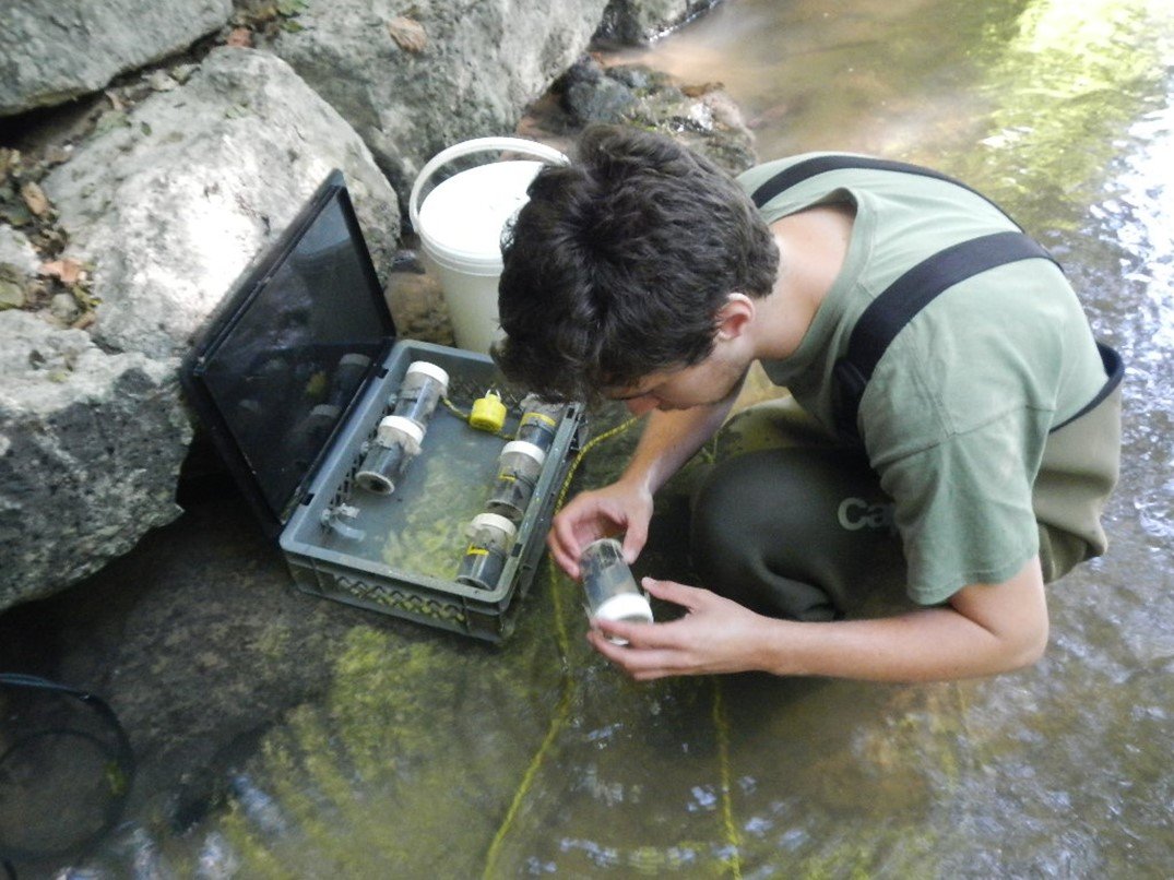 Biosurveillance: How Scientists Track Emerging Pathogens in Real Time