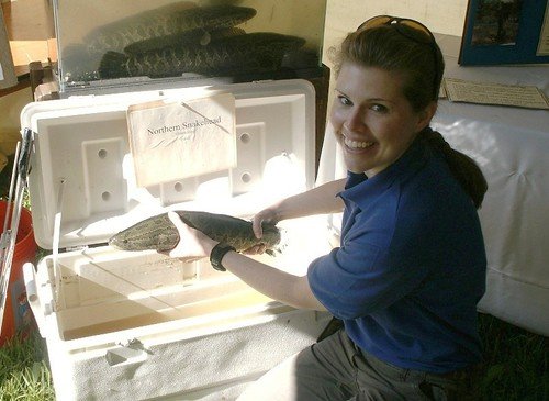 The Fish That Walks on Land Lives in Georgia’s Waters — And That’s Not Okay