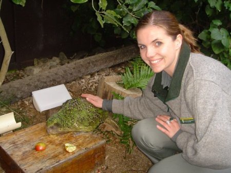 New Zealand’s Giant Flightless Parrot Tried to Woo a Cameraman on National TV