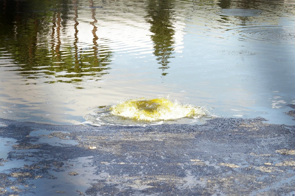 Methane Bubble at the La Brea Tar Pits.