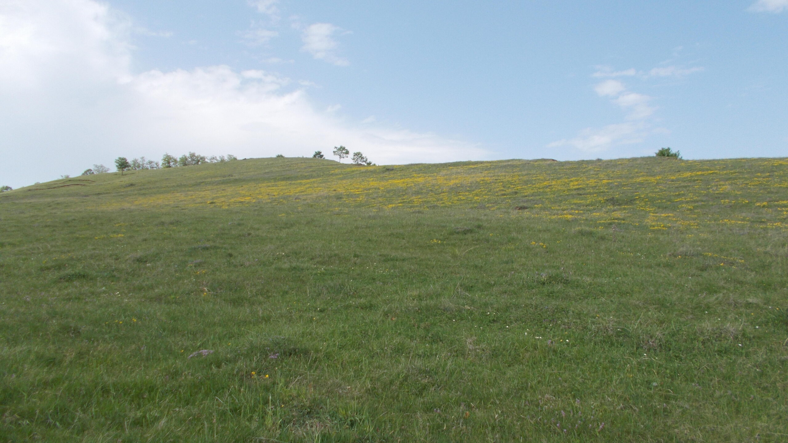 The Real Lost World: Island Dwarf Dinosaurs in Romania’s Hațeg Basin