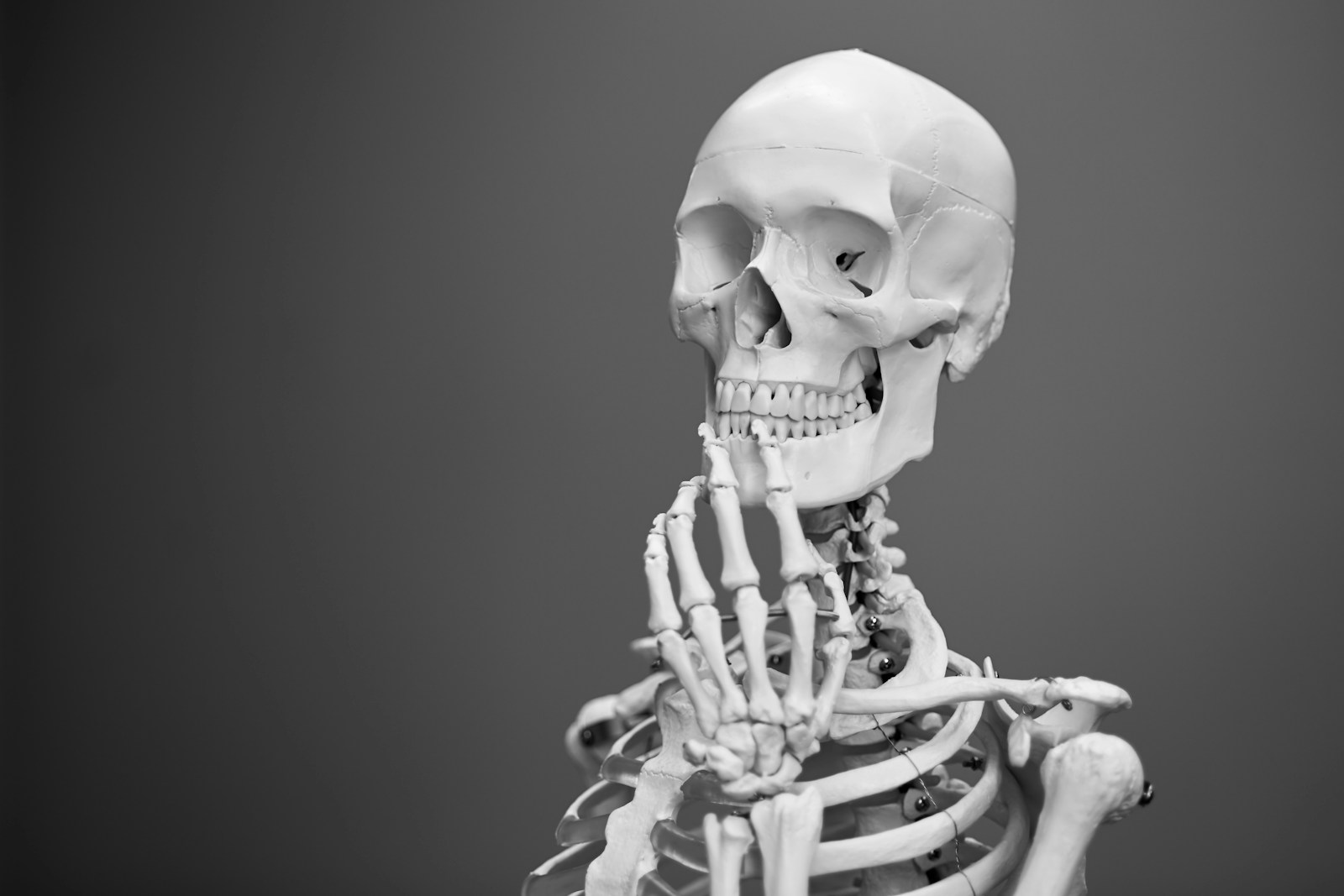 AI-Generated Horror Stories That Accidentally Became Comedies