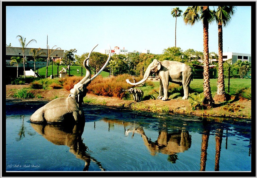 La Brea Tar Pits