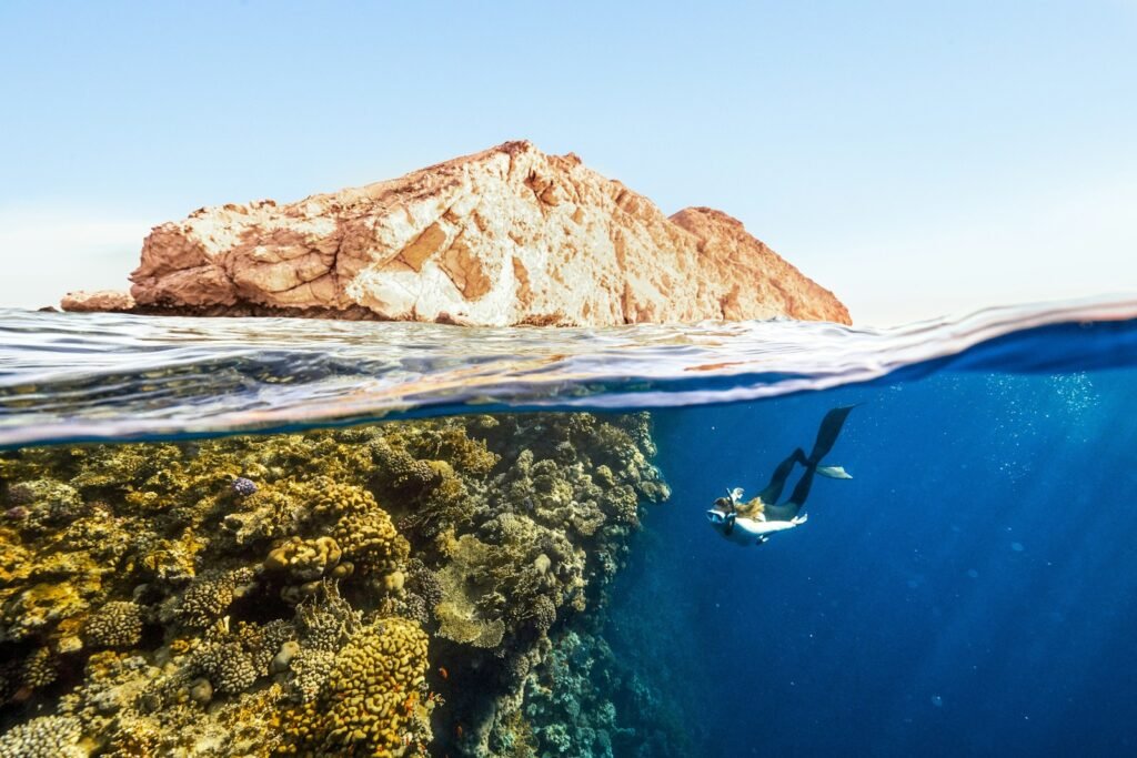 Person swimming in the ocean next to a rock.