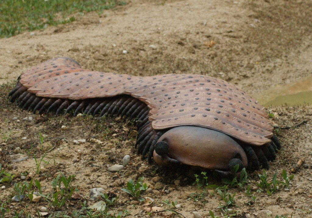 Arthropleura, Parco Natura Viva.