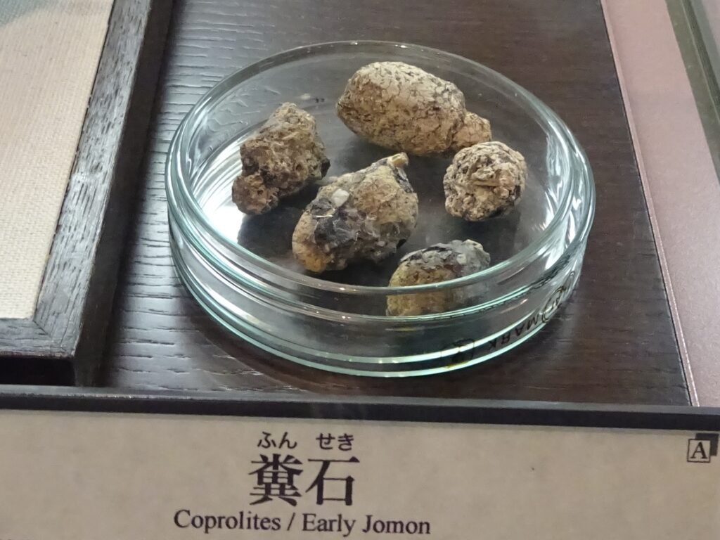 Coprolites