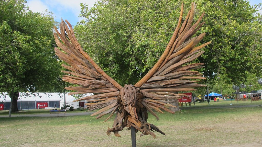 Haast's eagle in driftwood.