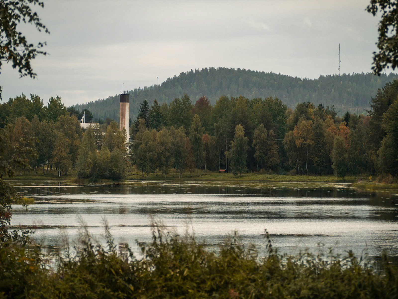 The Forgotten Forest Under Amsterdam: Ancient Peat, Bones, and Buried Landscapes
