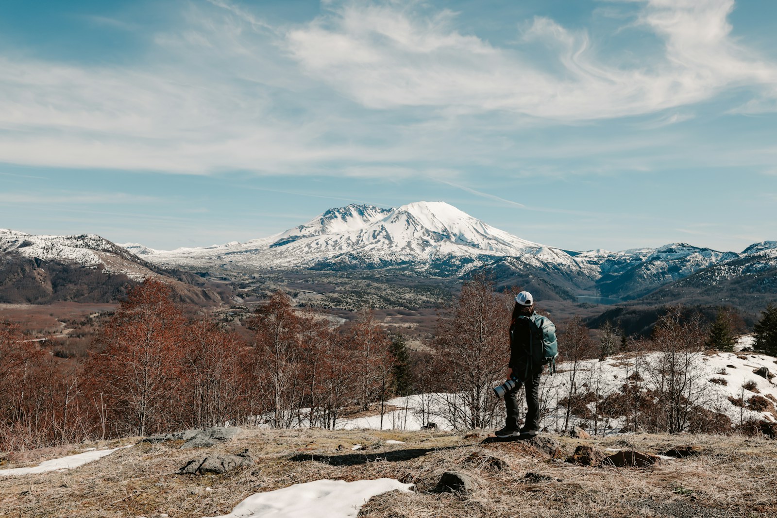 The Forest Reborn on Mount St. Helens: How Life Returned to a Landscape of Ash