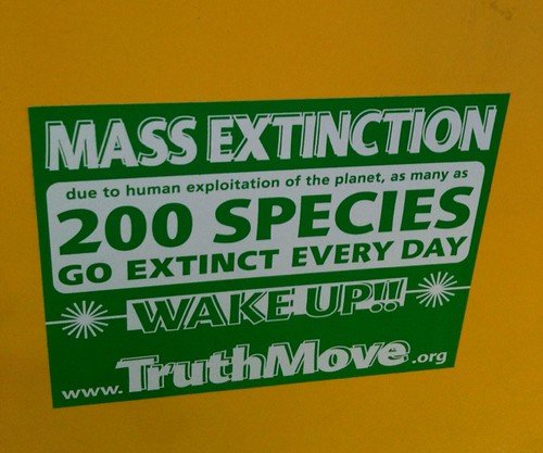 Mass Extinction