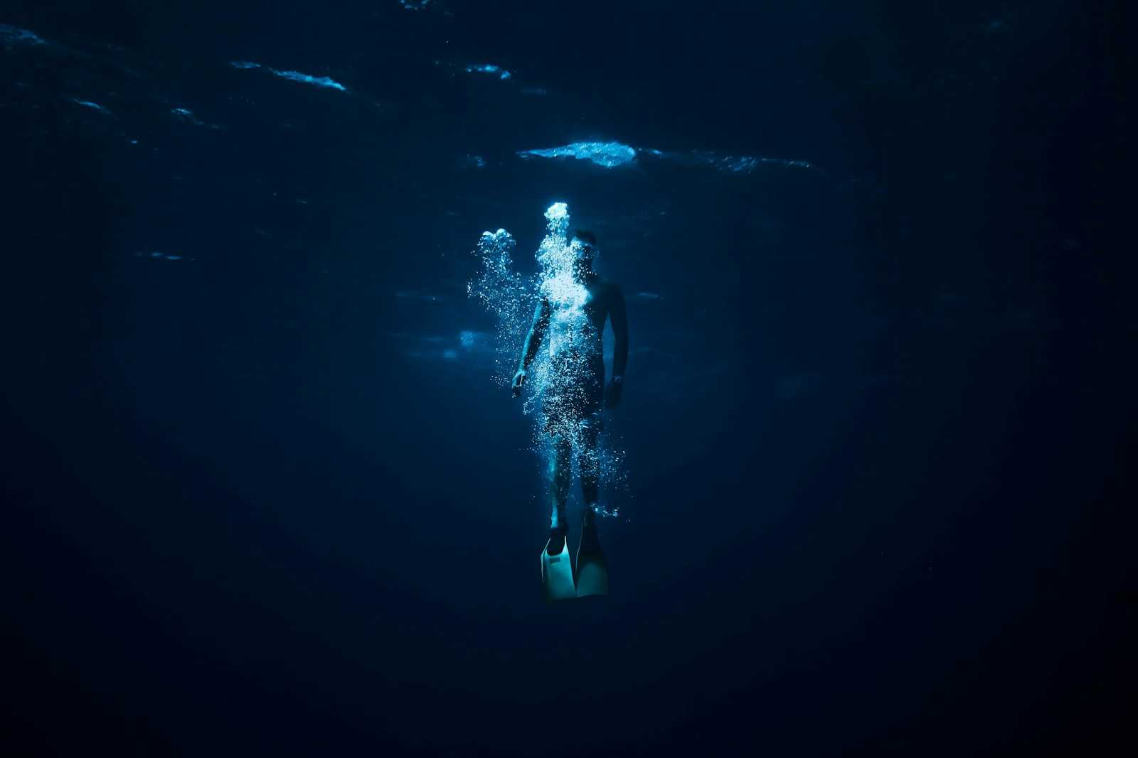 History Lessons: If Sea Levels Rose 100 Meters, What Would Survive of Us?
