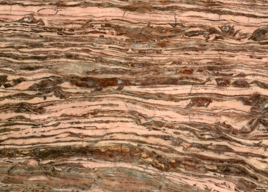 Shark Bay’s Stromatolites: Living Rocks That Changed the Earth’s Atmosphere