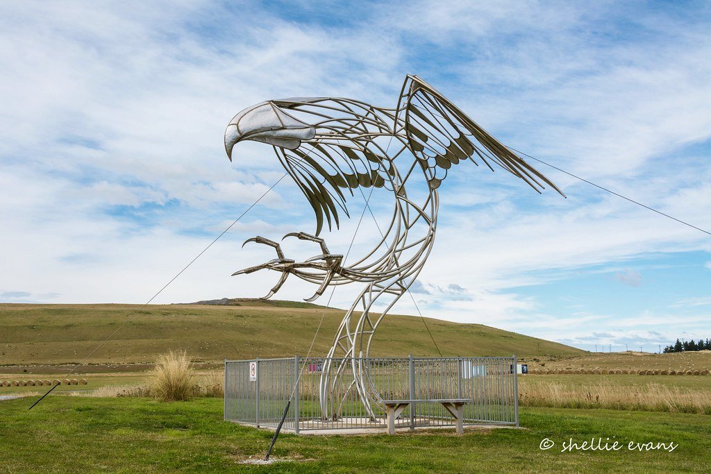 Haast Eagle Sculpture, Macraes, Otago.