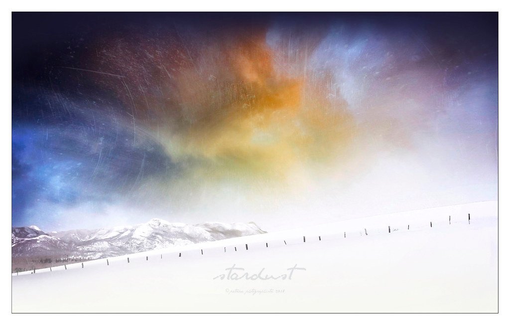 Stardust.