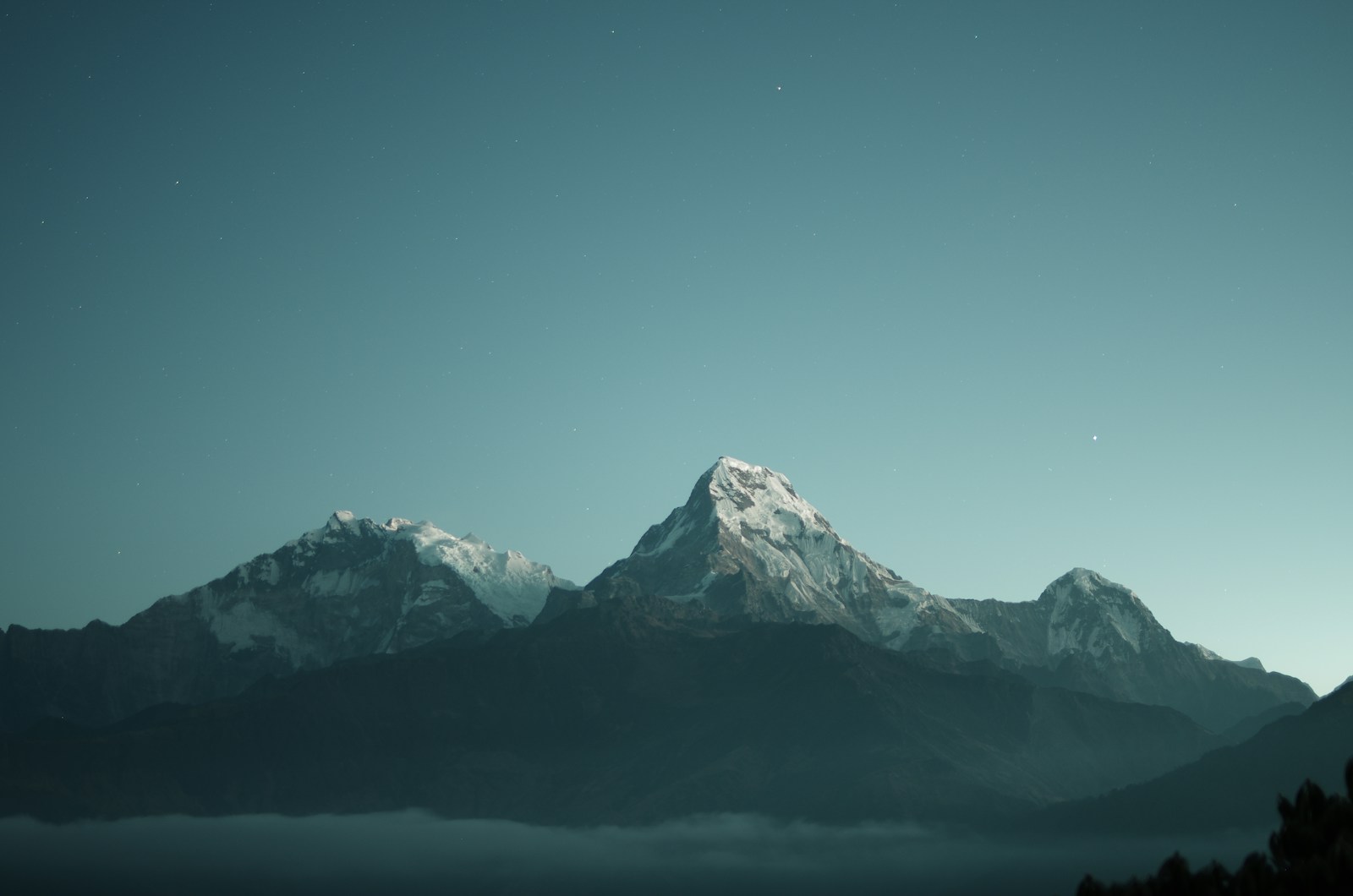 Mount Everest Day: The Biology of Survival at Extreme Altitudes
