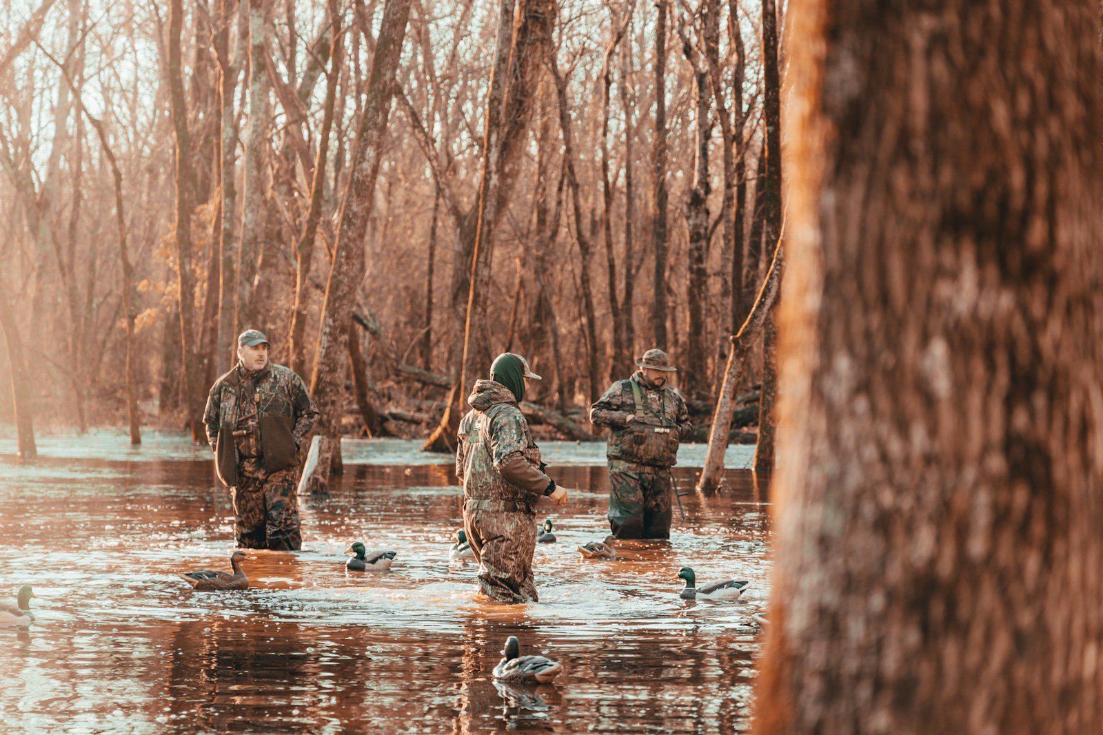 Is Conservation Hunting a Myth? Ins & Outs of Trophy Hunting Endangered Species