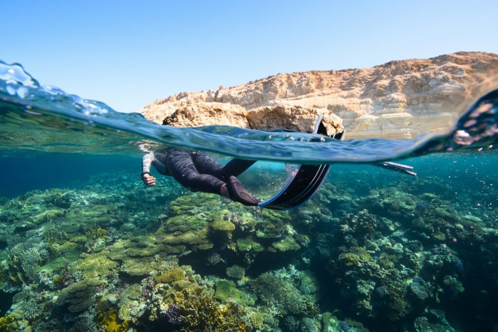 Person in a wet suit swimming in the ocean.