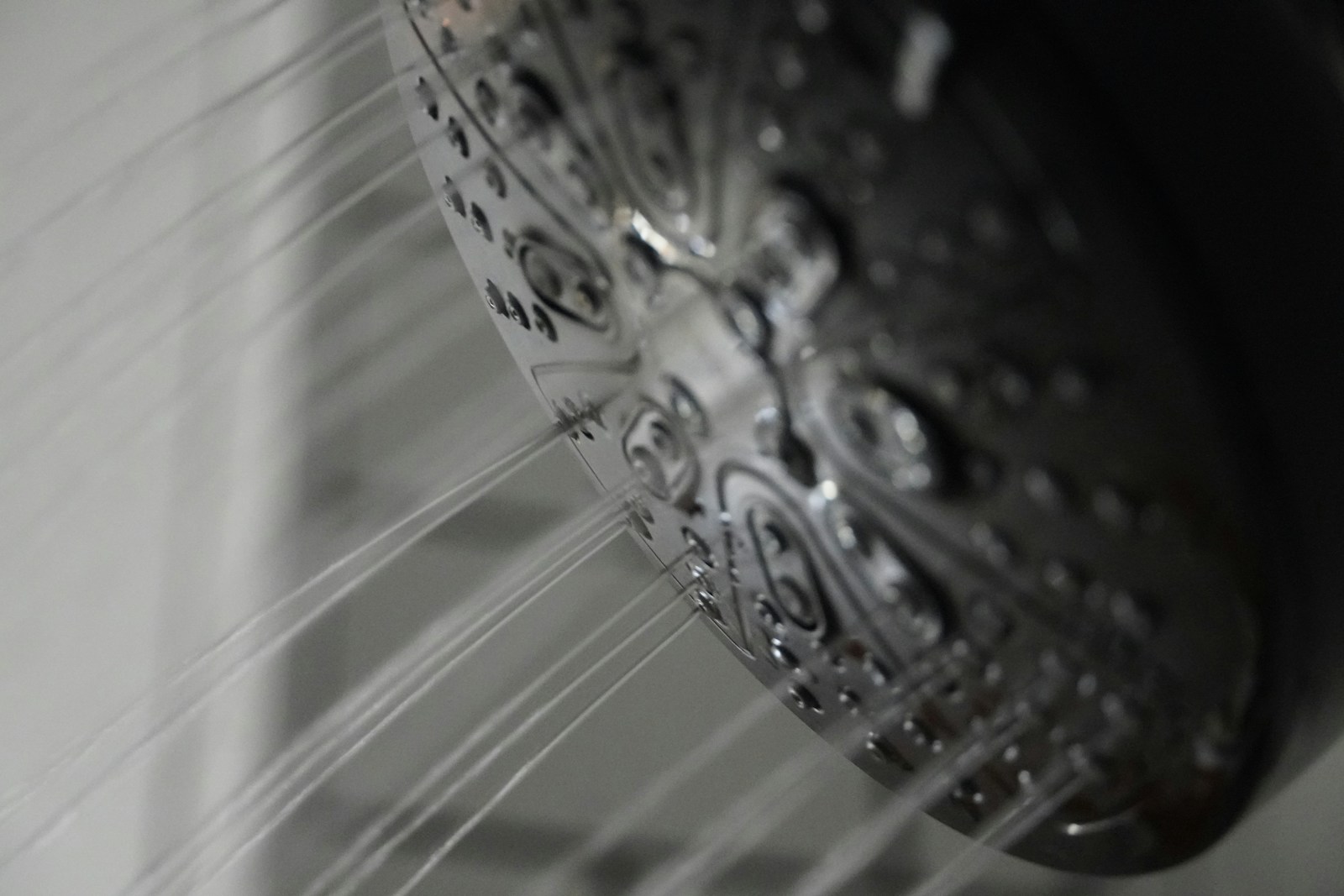 The Microscopic World Living Inside Your Showerhead