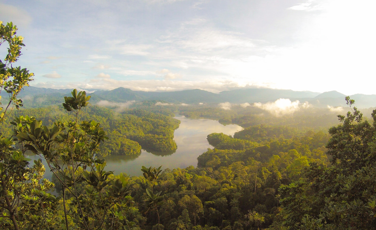 Conservation vs. Exploitation: Who Has the Right to Decide the Amazon Rainforest’s Future?