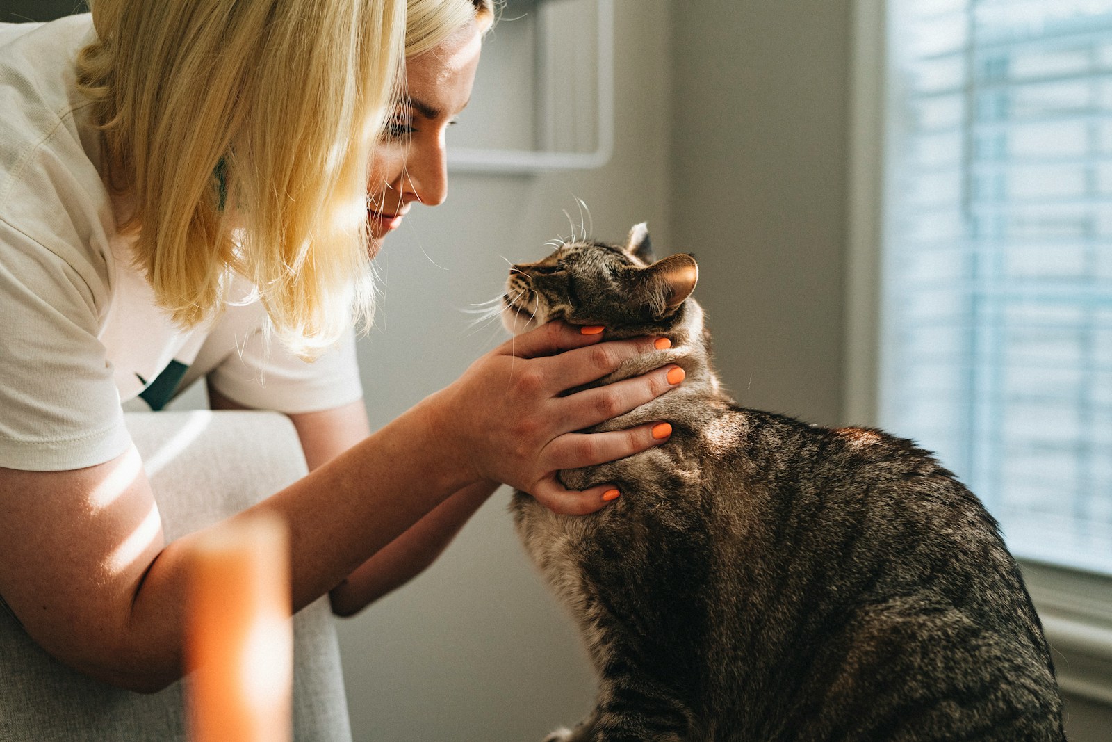 How AI Is Helping Vets Diagnose Pet Illnesses Before Symptoms Even Show