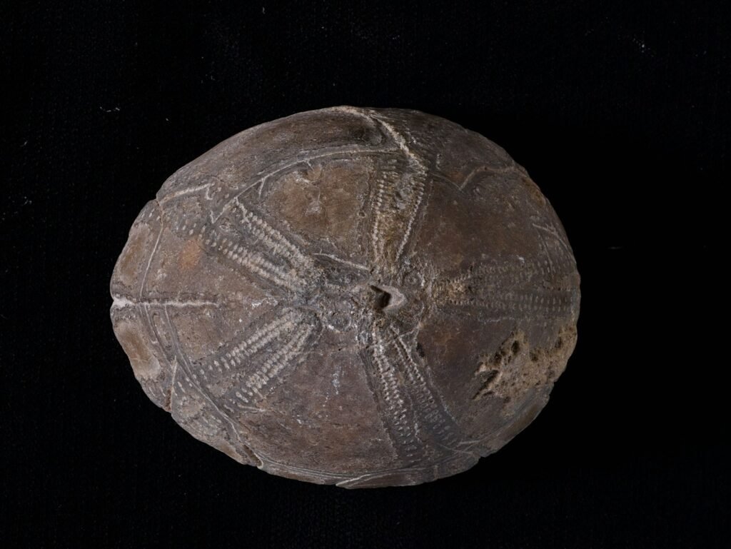 a large rock with a cross on it