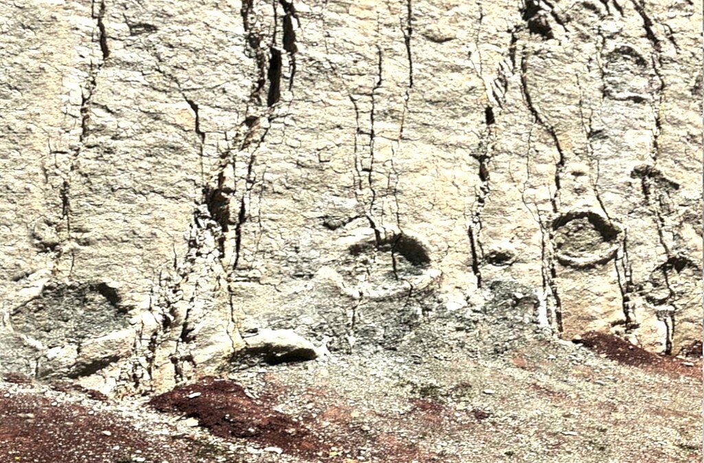 Dinosaur footprints