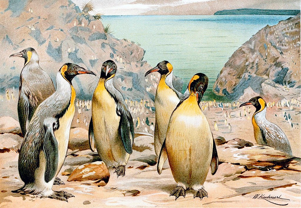 giant penguin